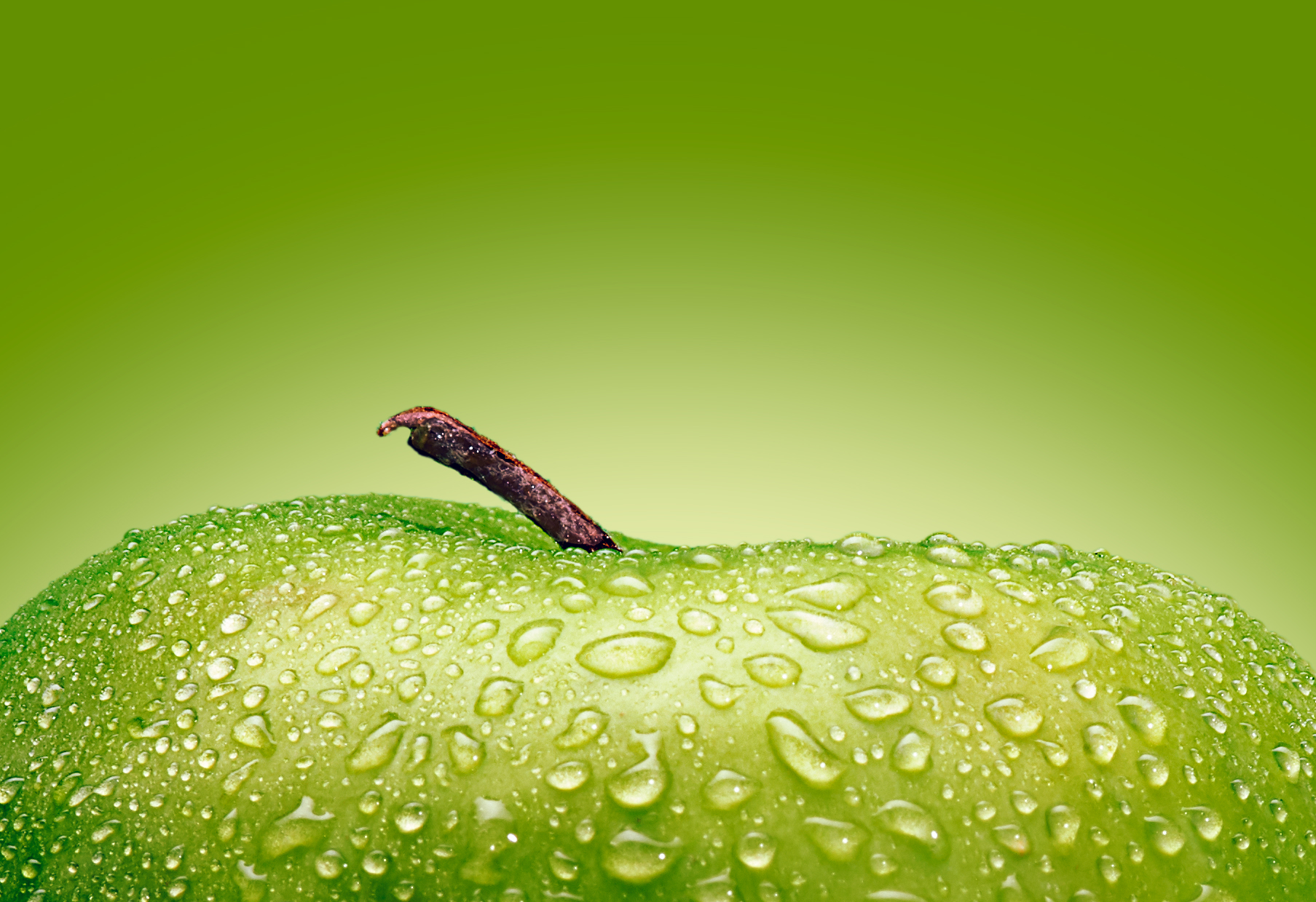 David Pahmp Photography | a Green apple